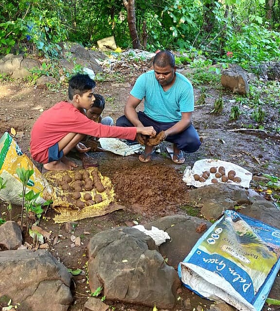 Saplings are planted during the monsoons. But in urban areas, conservation activities have taken a hit from the virus. Credit: DH Photo