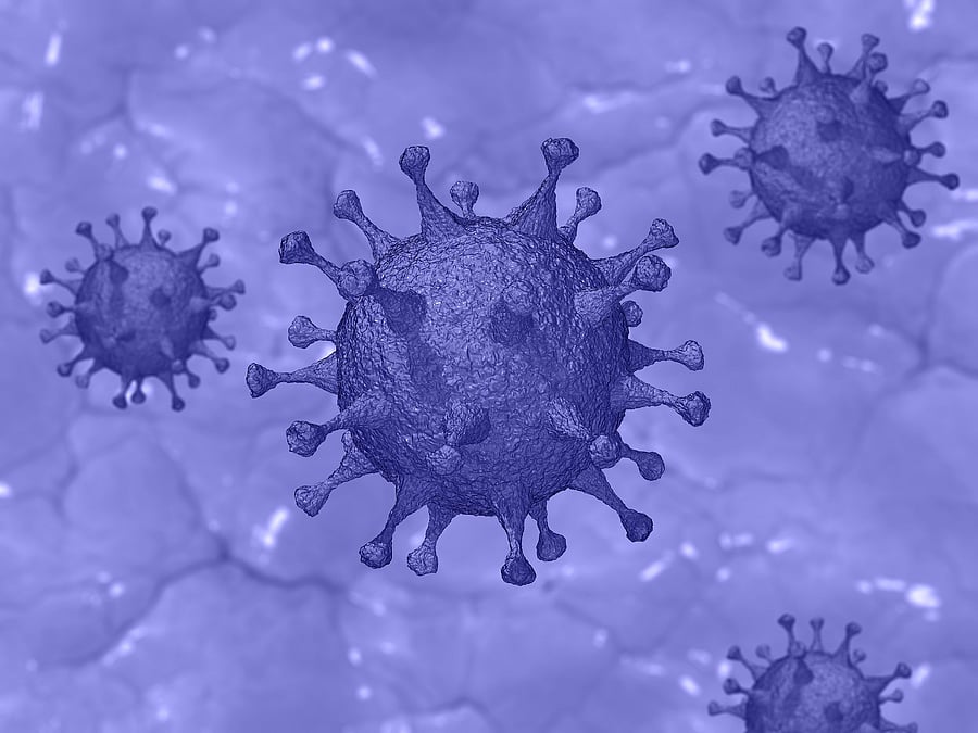 According to the scientists, only a small number of patients met inclusion for multisystem inflammatory syndrome in children. Credit: Pixabay Photo