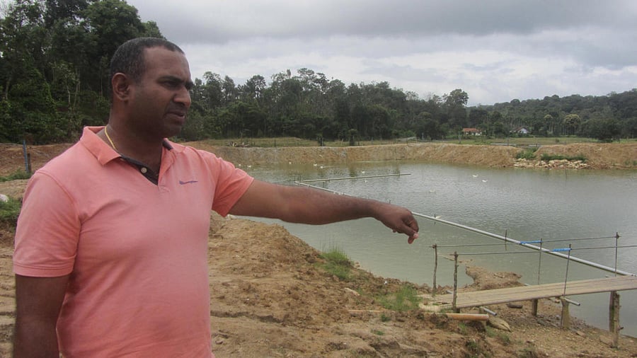 The lake where Tejas Nanaiah has taken up pisciculture at Kaggodlu in Madikeri.