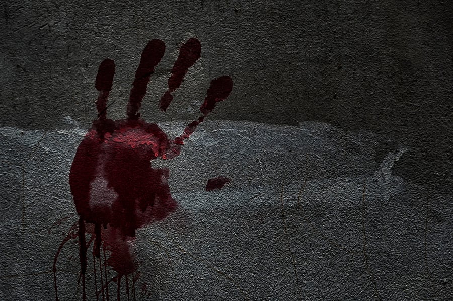 The nostalgic headbanging moment was the pop-punk group's first performance with their original lineup in nearly a decade.