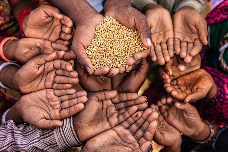 The Narendra Modi government had announced free foodgrains for an estimated 8 crore migrant workers. Representative image. Credit: iStock