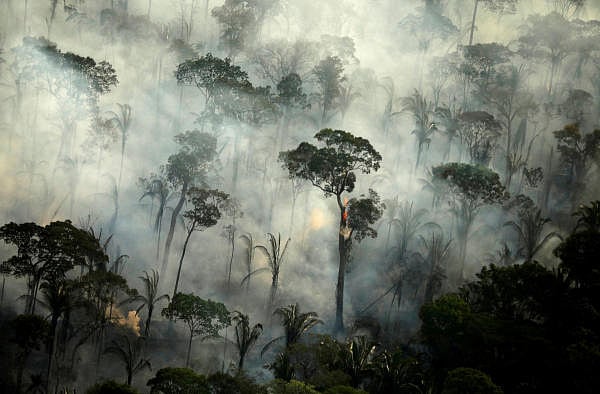 Smoke billows from a fire in an area of the Amazon rainforest near Porto Velho, Rondonia State, Brazil, September 10, 2019. Credit: Reuters