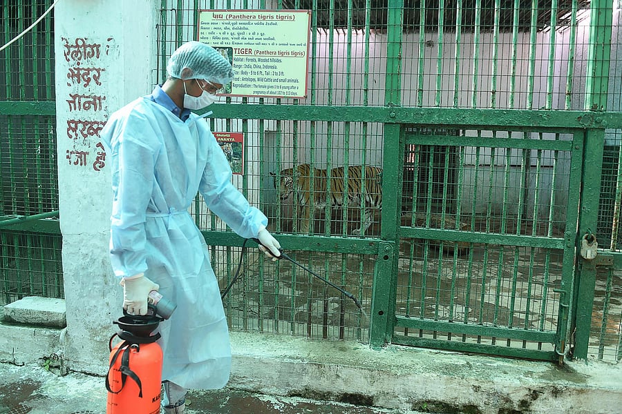 Representative image. Credit: AFP Photo