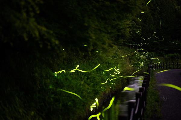 Representative Photo. Credit: AFP