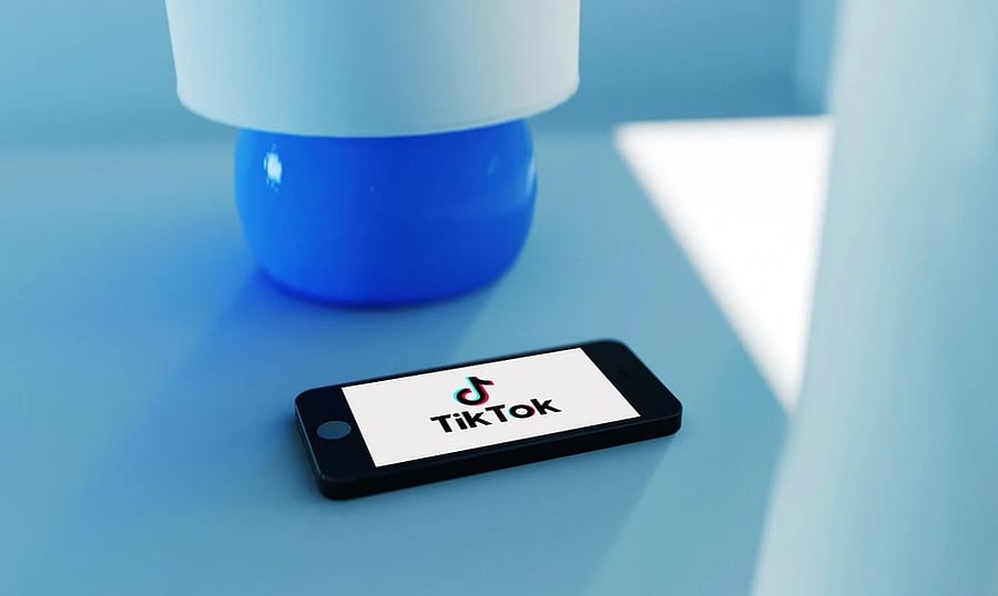 Hackers luring people to install fake TikTok app in India. Picture Credit: Pixabay