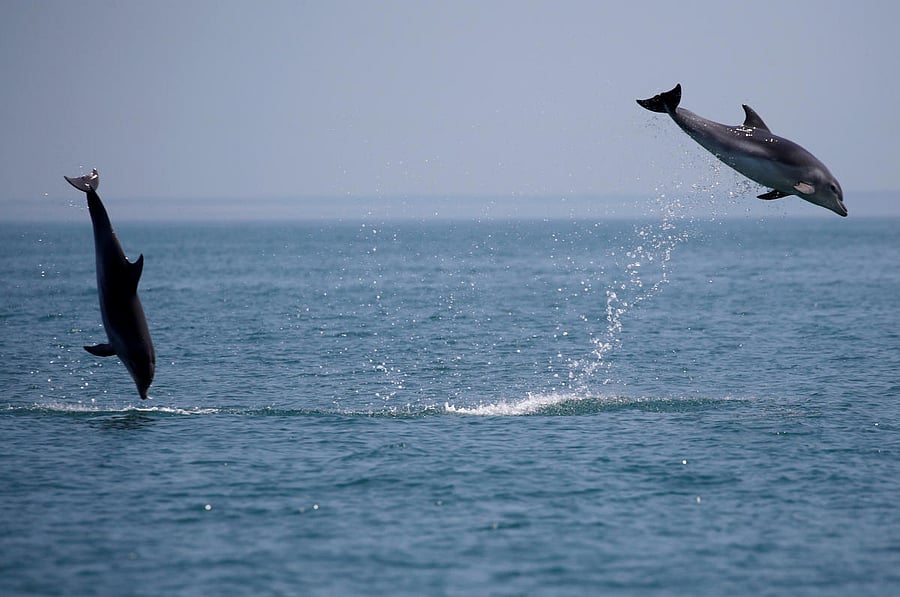 Representative image. Credit: Reuters Photo