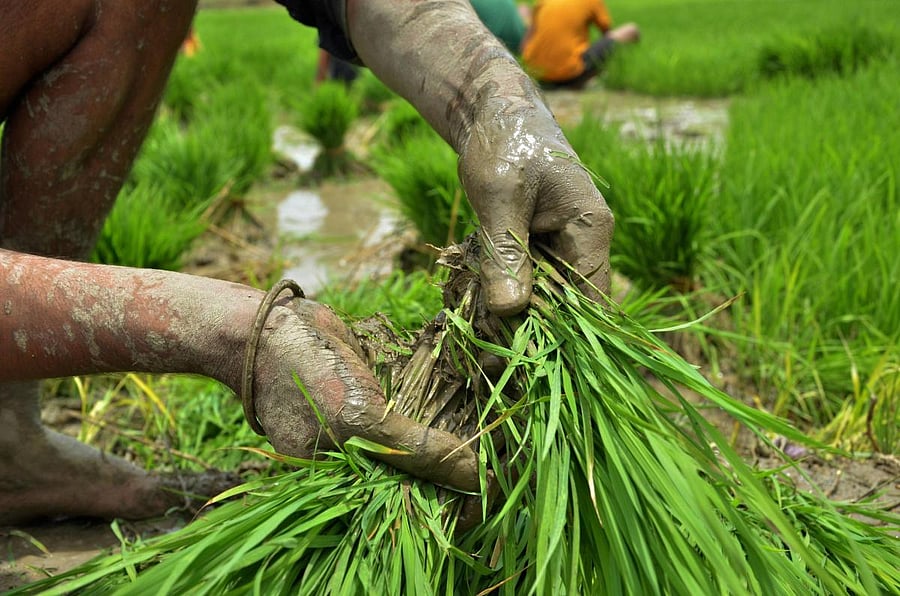 Representative image. Credit: PTI