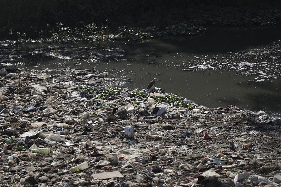 Fundamental rights under Article 19 and 21 in the Constitution also give the right to clean the environment to the citizens.