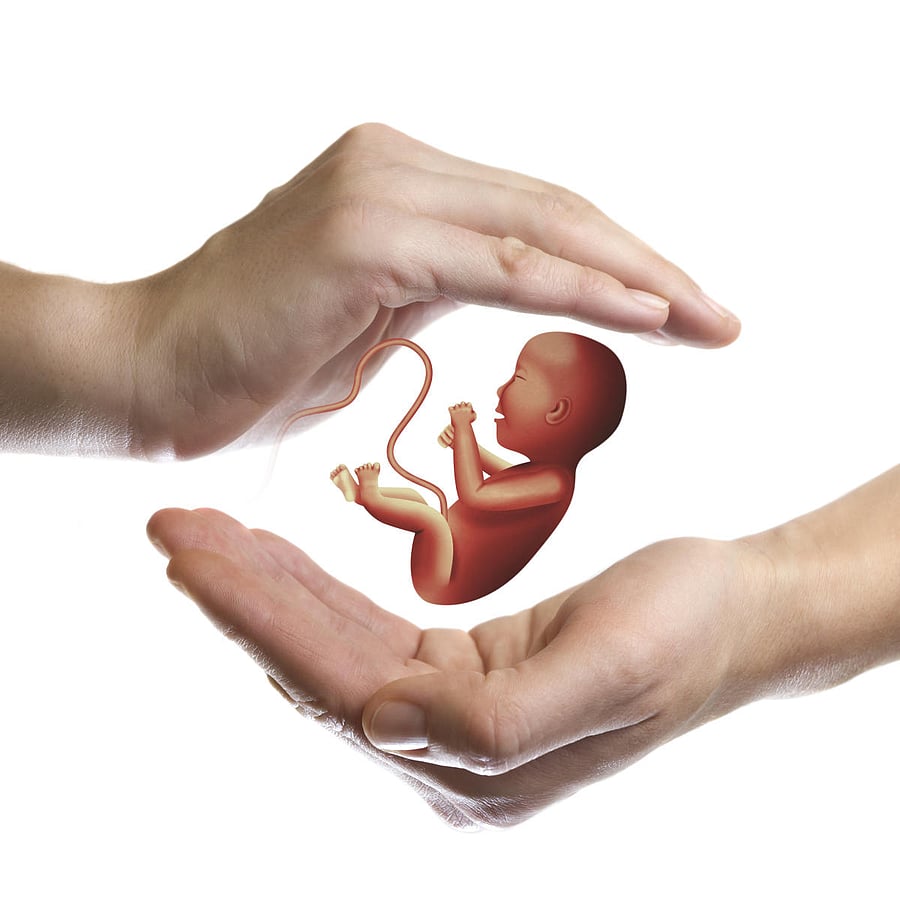 Two hands on white isolated background with embryo in center.Concept of reproductive technologies
