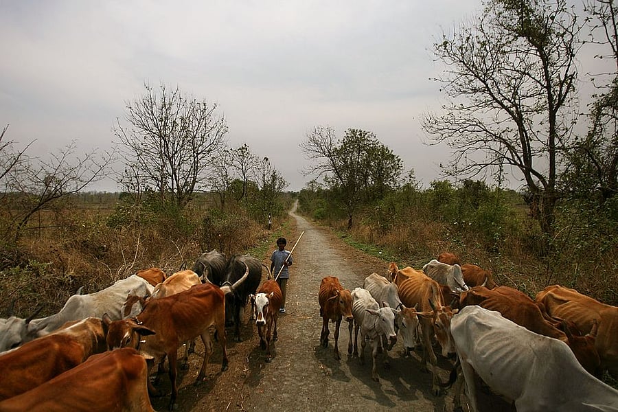Representative image. Credit: Getty images