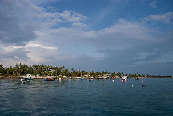 Representative Image. Credit: Getty Images