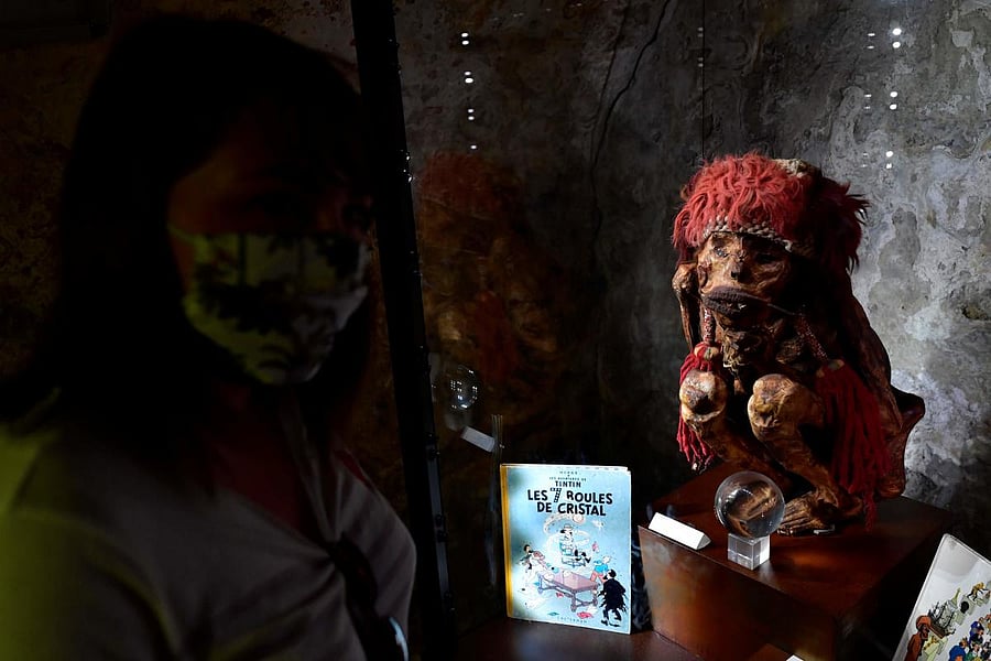  Inca mummy at the Pairi Daiza animal park in Brugelette, Belgium (AFP Photo)