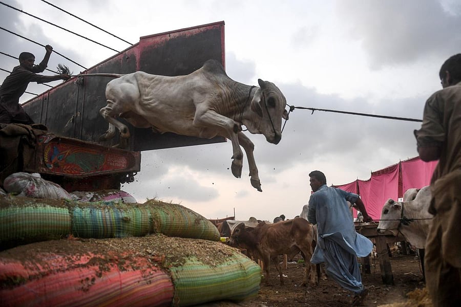 Representative Image. Credit: AFP Photo