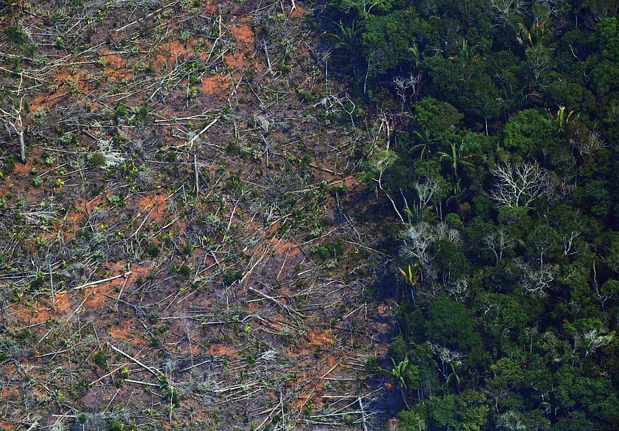 Aerial picture showing a deforested piece of land in the Amazon rainforest. Credit: AFP File Photo
