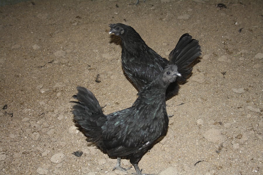 Representative image.