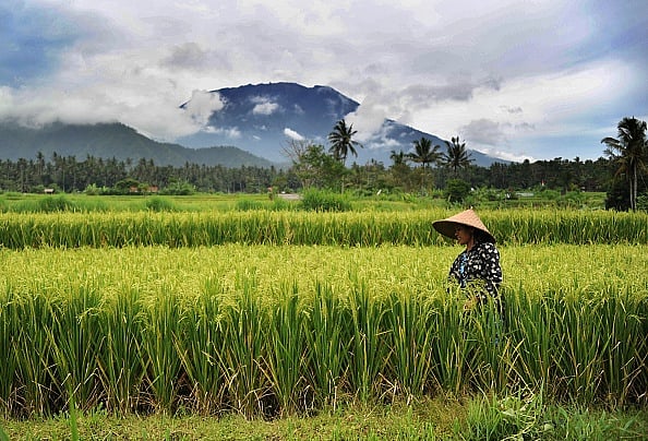 Representative Image. Credit: Getty Images