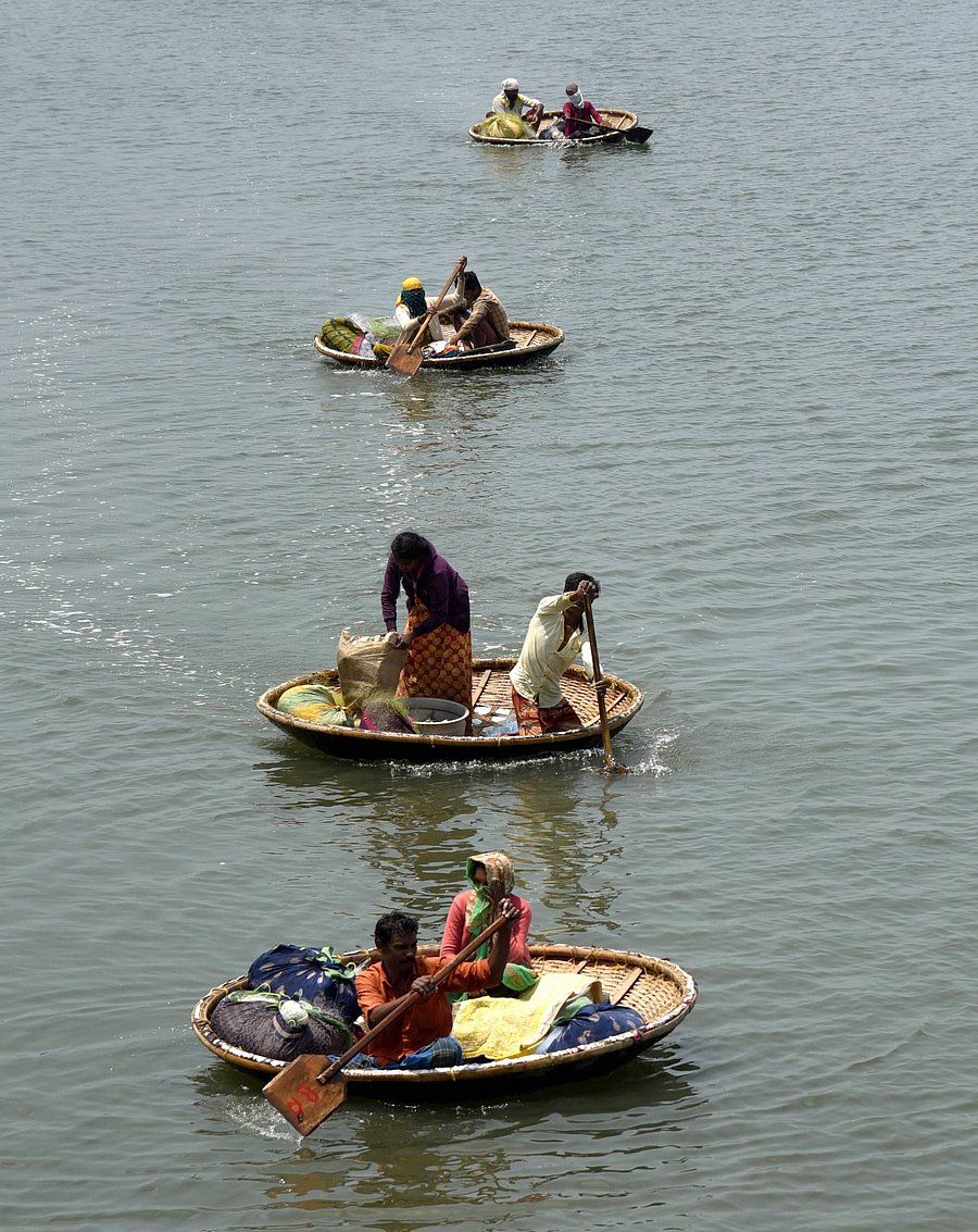 Fishing community people in their country boats catch fish in the backwaters of Kochi. Credit: PTI Photo