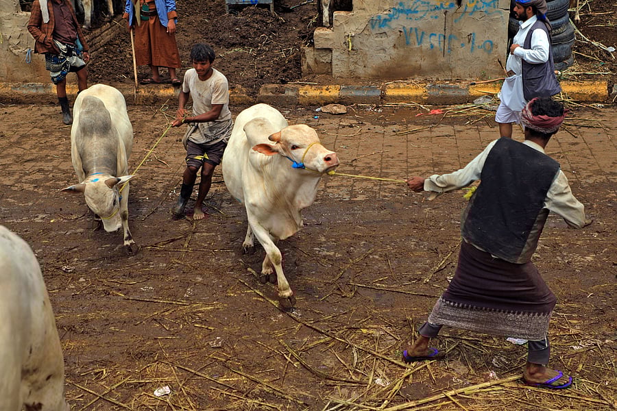 Representative image/Credit: AFP Photo