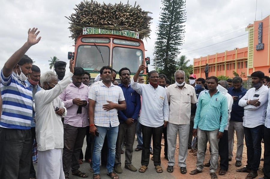 Farmers and workers stop a sugarcane-laden lorry in Pandavapura, Mandya district, on Monday.