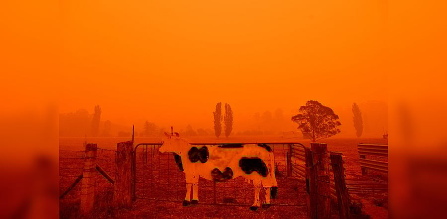 The sky turns red from bushfires in Bemboka, in Australia's New South Wales state on January 5. Credit: AFP Photo