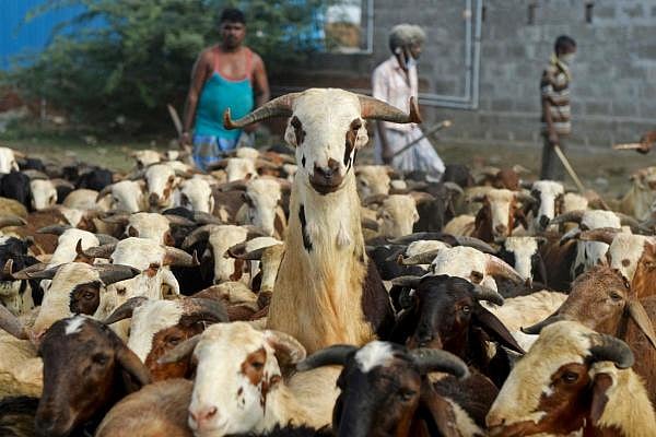 Representative image. Credit: AFP Photo