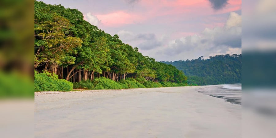 The government has already allocated dry food, rice and cash and organized thousands of volunteers for relief work.