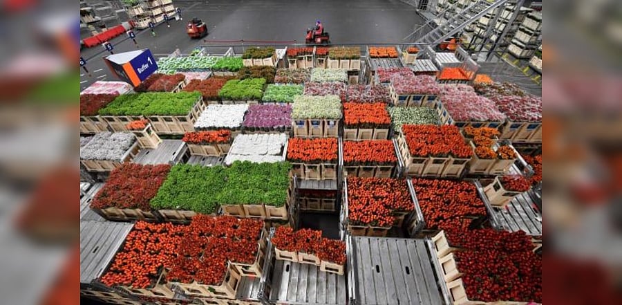 Representative image. Credit: AFP Photo