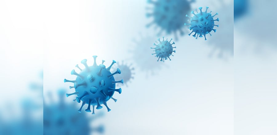  Representative image. Credit: iStock Photo