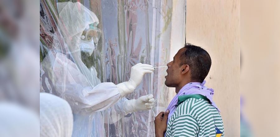 A health worker collects swab sample of man for Covid-19 test, during a health check-up camp, in Bikaner. Credit: PTI Photo