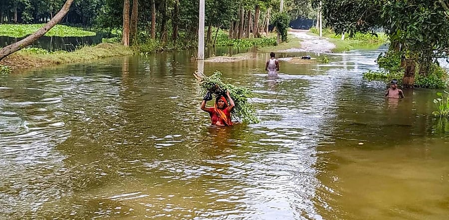 Representative Image. Credit: PTI Photo