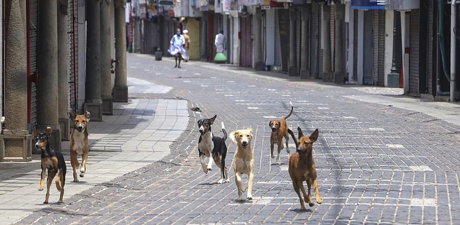  Representative Image. Credit: PTI Photo