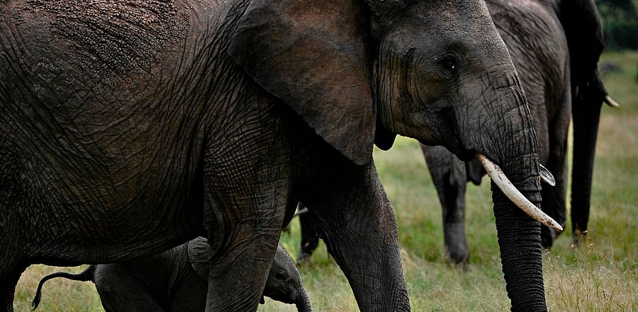 Representative photo: Credit: AFP