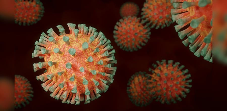 Representative image/Credit: Pixabay Image