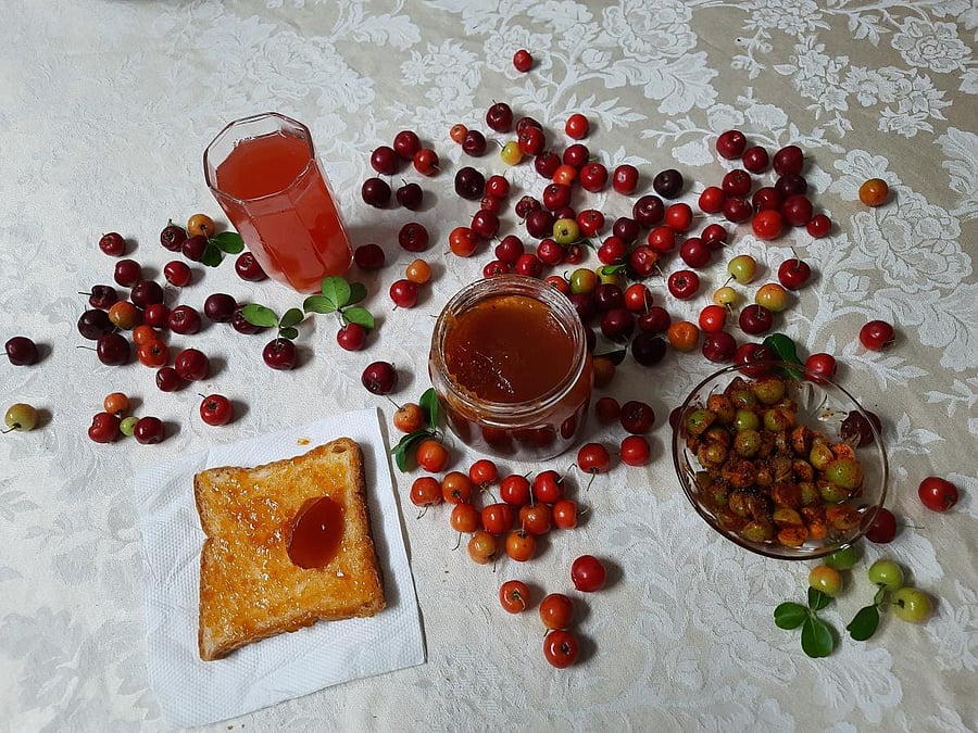 West Indian Cherry