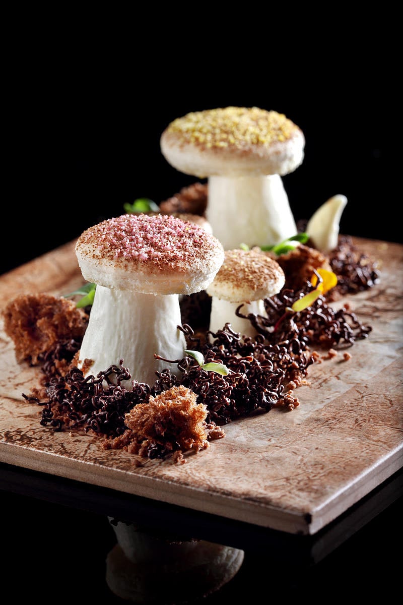 Mushroom Garden