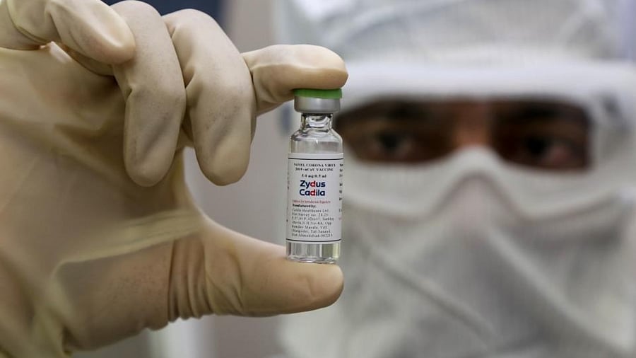 A pharmaceutics worker shows a shot of a vaccine developed by Zydus Cadila to treat Covid-19 after it received approval from the Drug Controller General of India. Credit: AFP