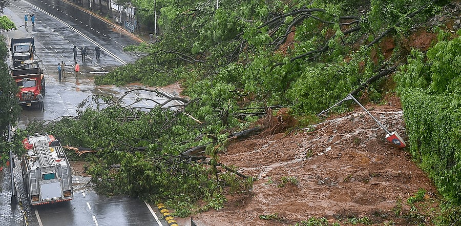 Municipal workers clear debris from Pedder road, after a landslide due to heavy rainfall, in Mumbai. Credit: PTI Photo