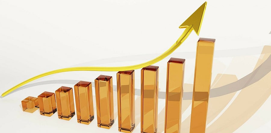 Representative image. Credit: Pixabay Photo