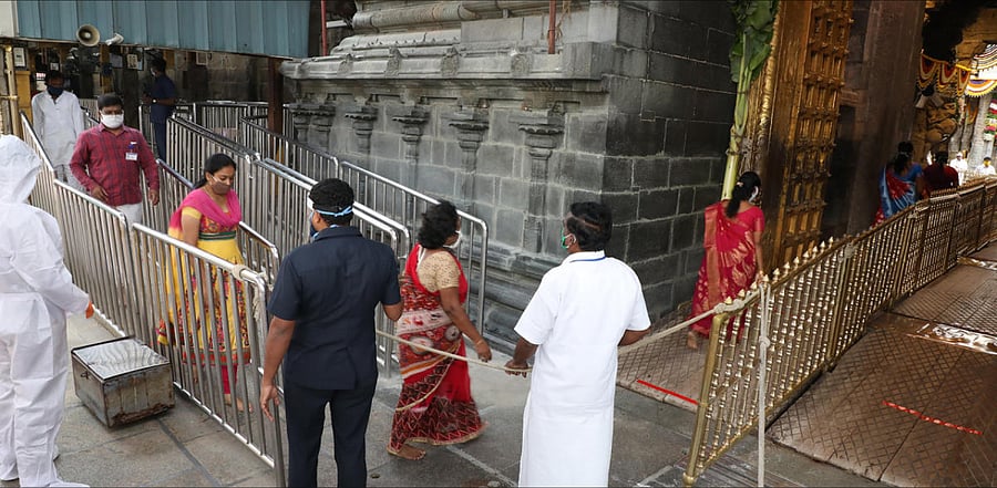 Darshan queue in Tirumala in late July. Credit: DH Photo