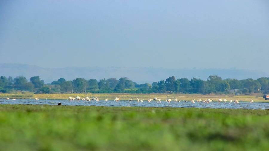 Representative image. Credits: iStock Photo