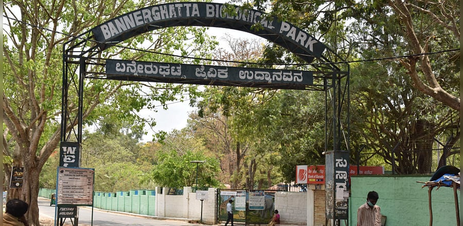 However, only 4,400 visitors would be allowed in a day. There would be a contactless online ticketing system. Credit: DH Photo