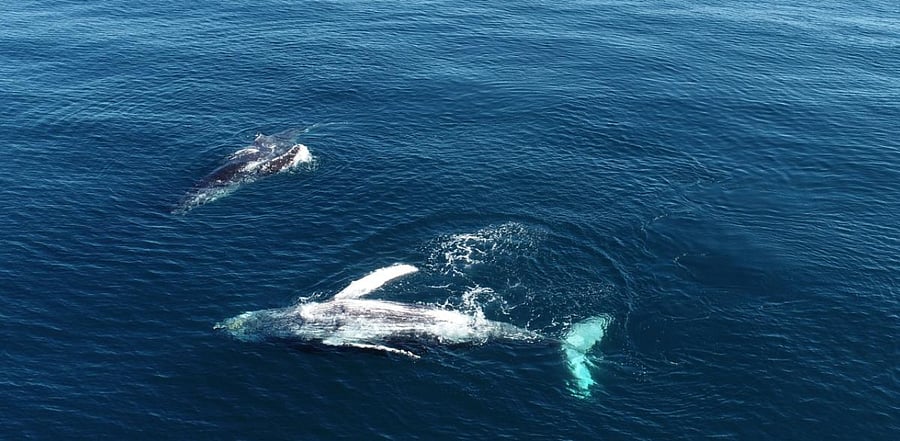 Representative Image. Credit: Reuters Photo