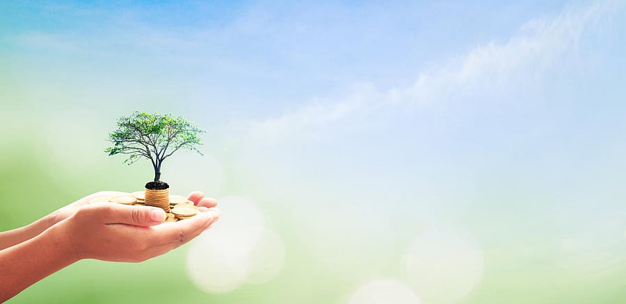 Environmental activism