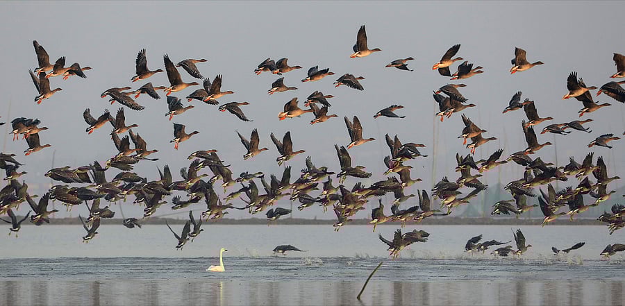 Representative image. Credit: AFP Photo
