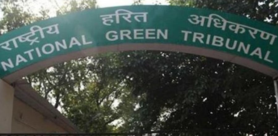 National Green Tribunal board. Credit: DH File Photo