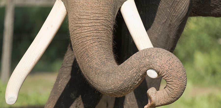 Representative image/Credit: iStock images