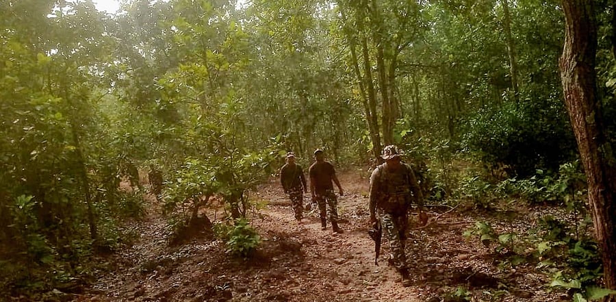 Representative Image. Credit: PTI Photo