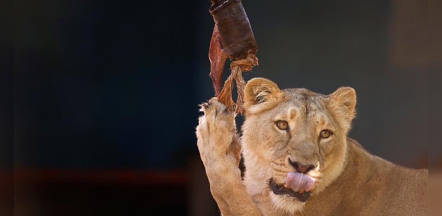 Representative Image. Credit: Reuters
