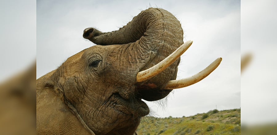 Image for representation. Credit: iStock