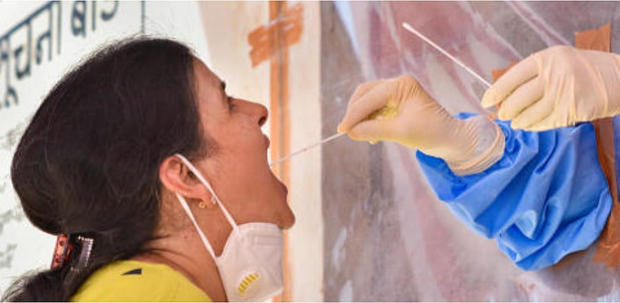 A health worker collects swab samples for Covid-19 testing from a woman, at a health camp in Bikaner. Credit: PTI Photo